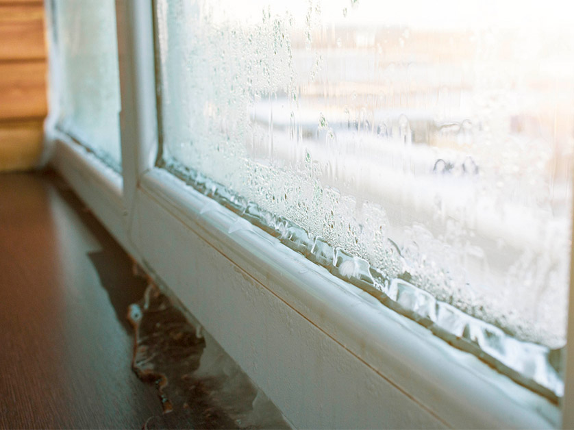 How to Address Common Window Problems in Winter